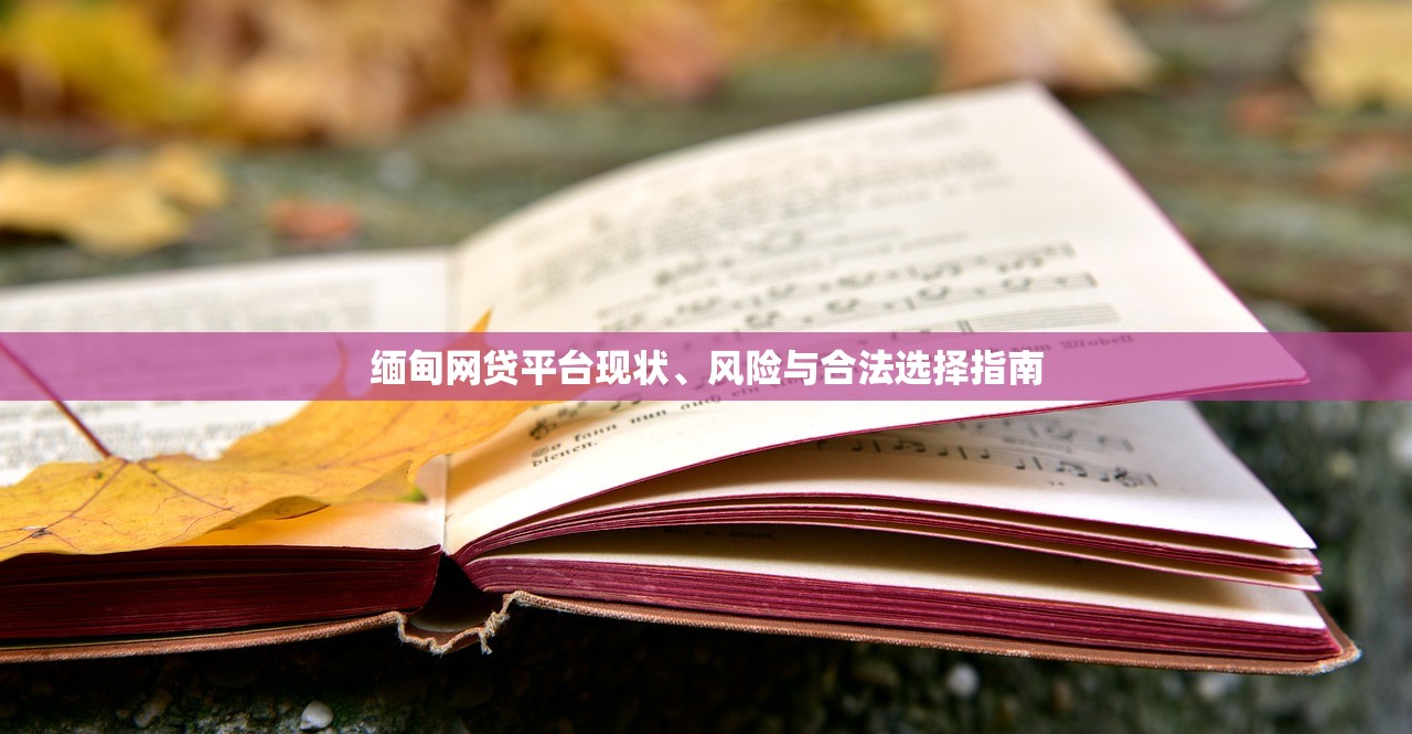 缅甸网贷平台现状、风险与合法选择指南