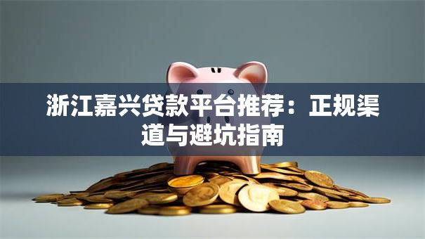 浙江嘉兴贷款平台推荐：正规渠道与避坑指南
