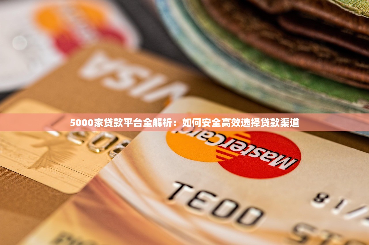 5000家贷款平台全解析：如何安全高效选择贷款渠道