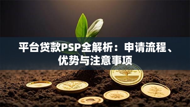 平台贷款PSP全解析：申请流程、优势与注意事项