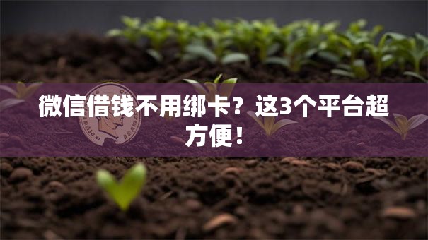 微信借钱不用绑卡？这3个平台超方便！