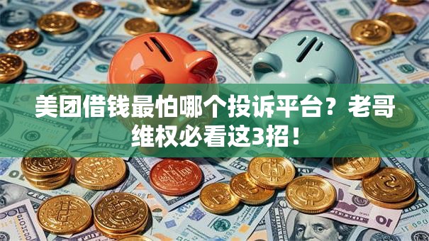 美团借钱最怕哪个投诉平台？老哥维权必看这3招！