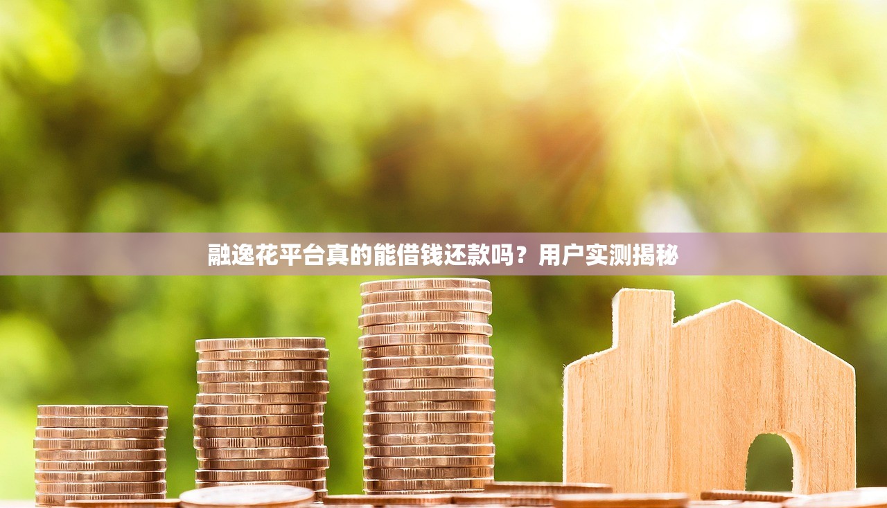融逸花平台真的能借钱还款吗？用户实测揭秘