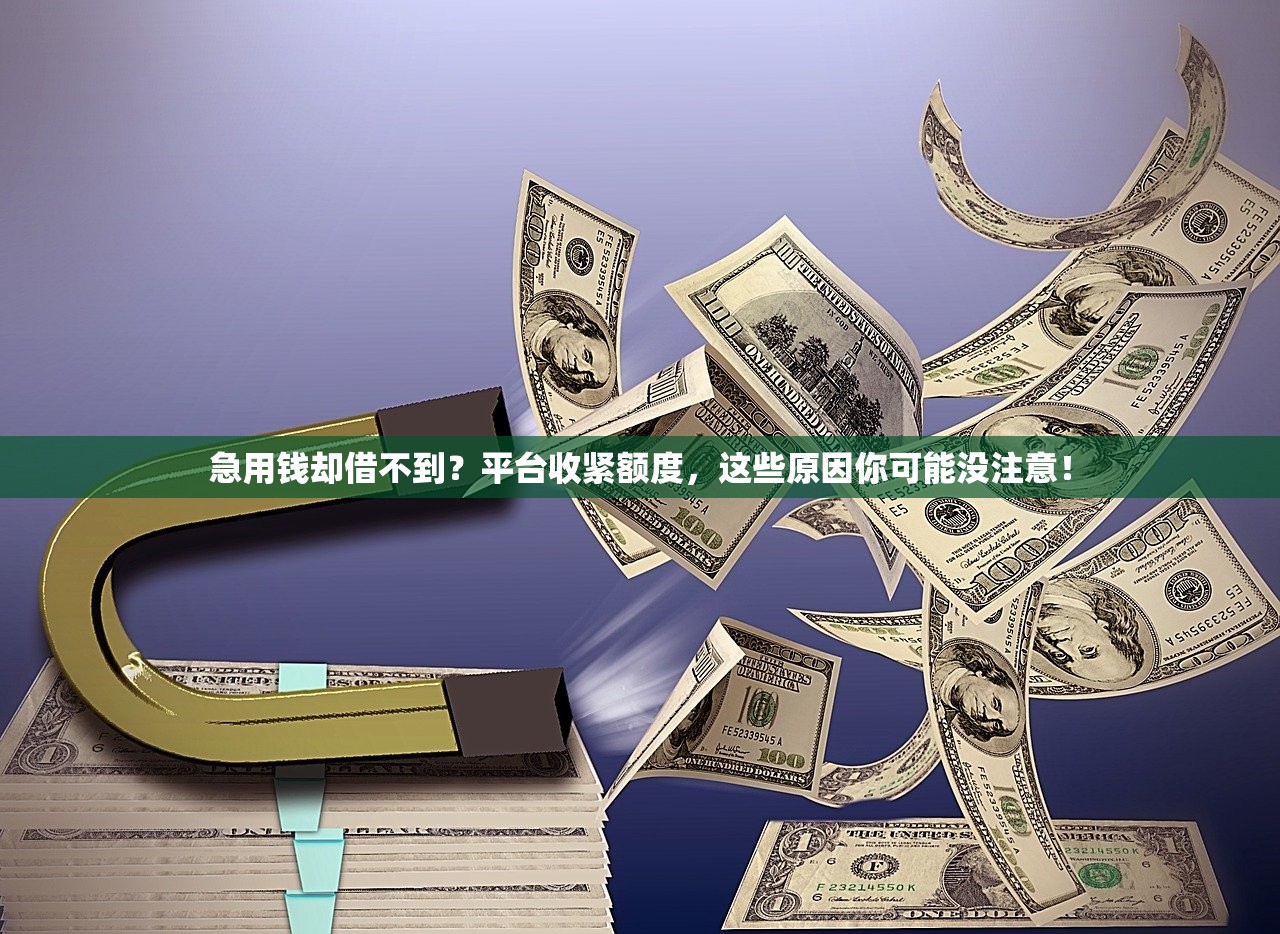 急用钱却借不到？平台收紧额度，这些原因你可能没注意！
