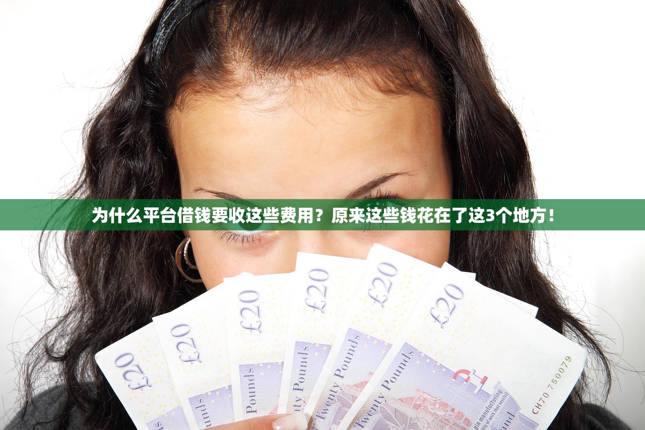 为什么平台借钱要收这些费用？原来这些钱花在了这3个地方！