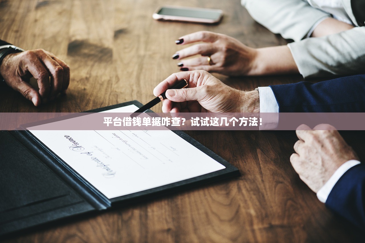 平台借钱单据咋查？试试这几个方法！