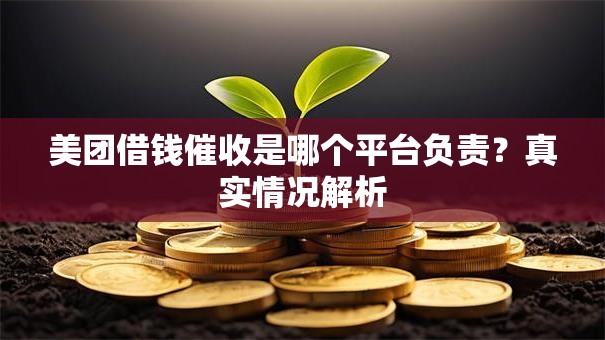 美团借钱催收是哪个平台负责？真实情况解析