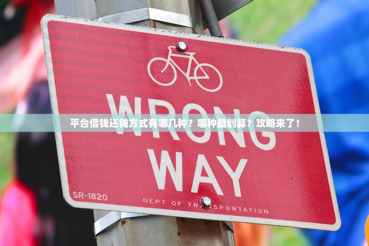 平台借钱还钱方式有哪几种？哪种最划算？攻略来了！