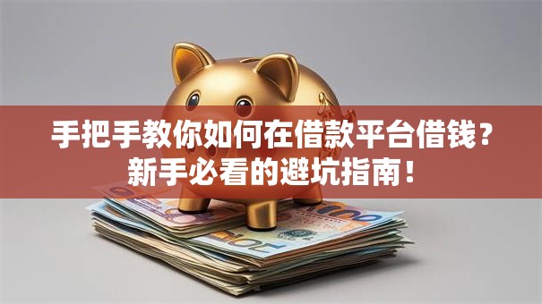 手把手教你如何在借款平台借钱？新手必看的避坑指南！