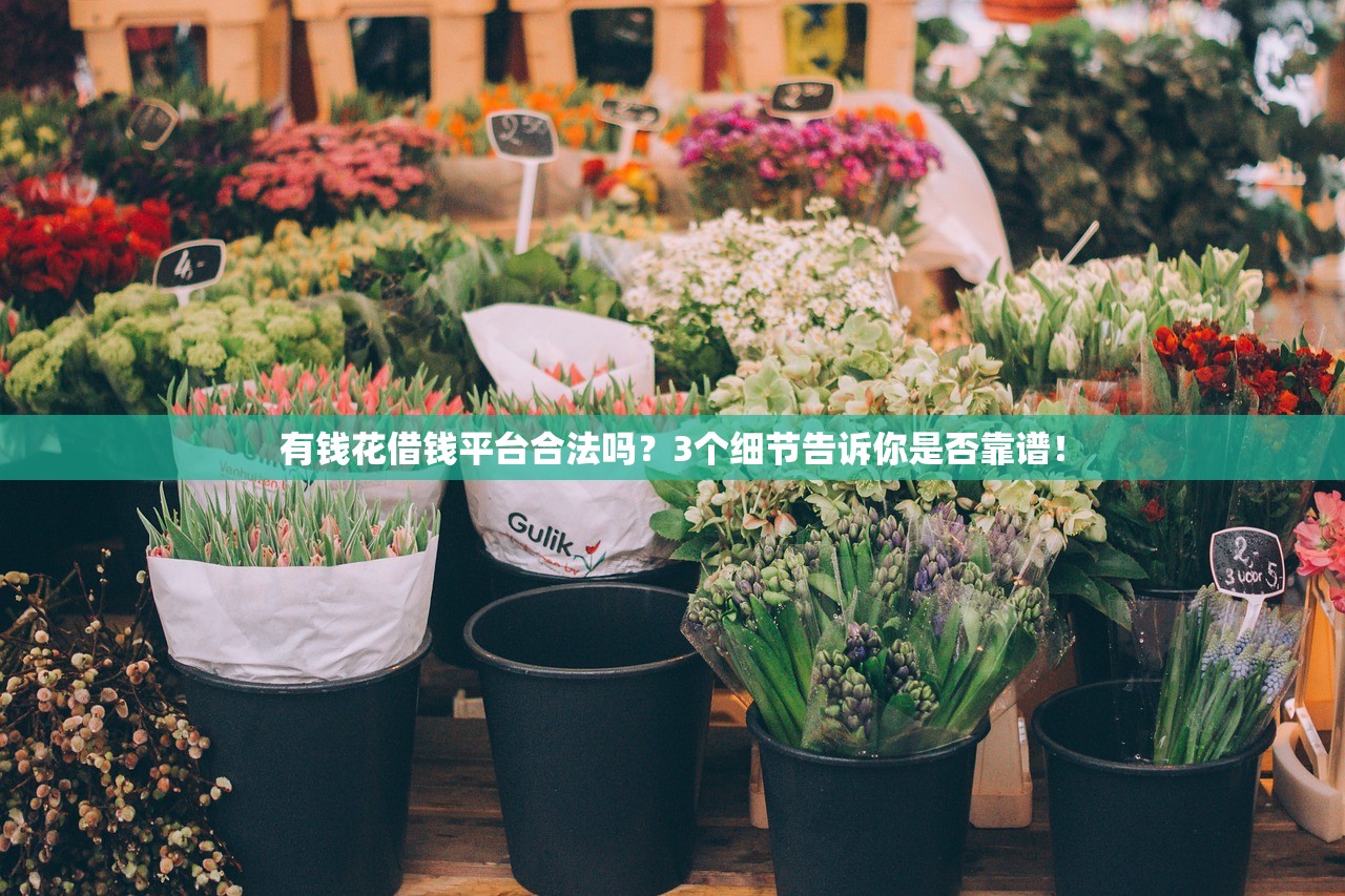 有钱花借钱平台合法吗？3个细节告诉你是否靠谱！