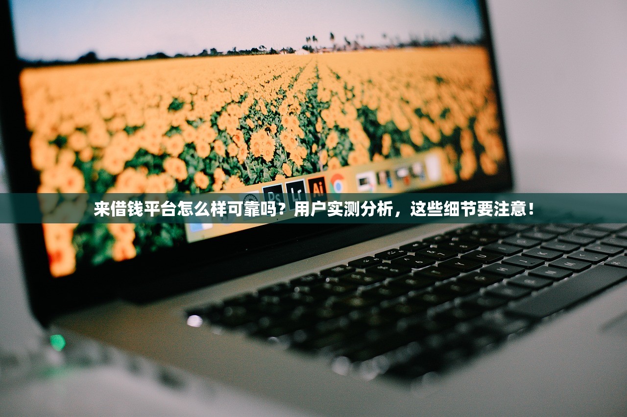 来借钱平台怎么样可靠吗？用户实测分析，这些细节要注意！