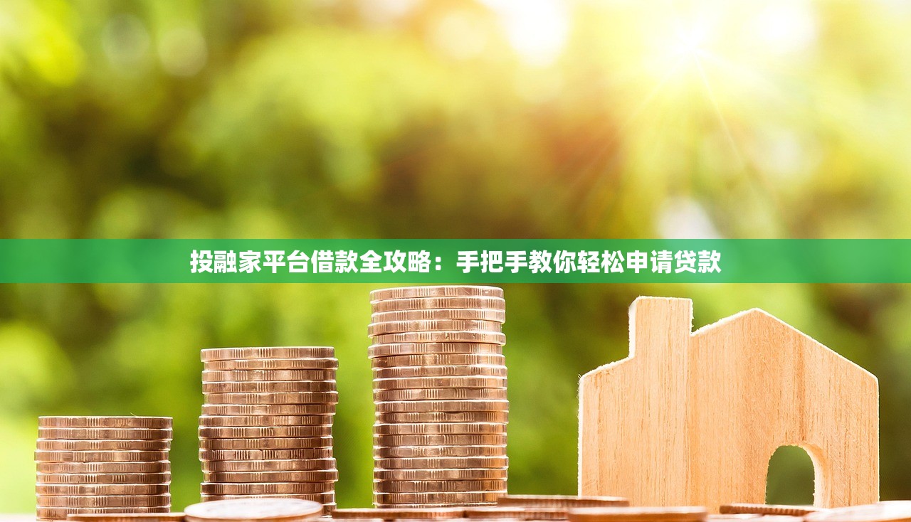 投融家平台借款全攻略：手把手教你轻松申请贷款