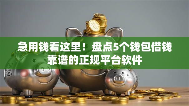 急用钱看这里！盘点5个钱包借钱靠谱的正规平台软件