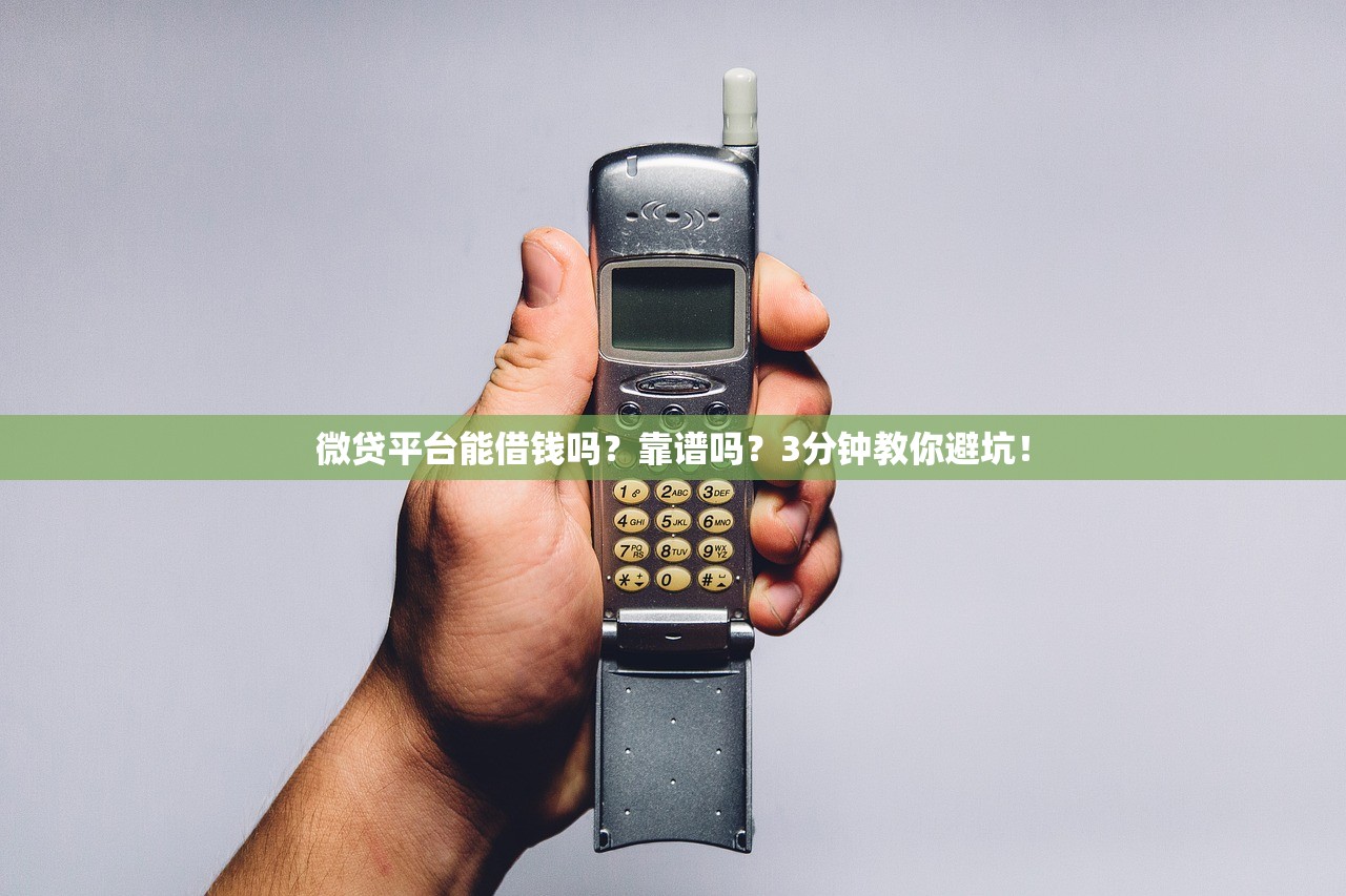 微贷平台能借钱吗？靠谱吗？3分钟教你避坑！