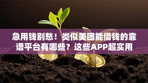 急用钱别愁！类似美团能借钱的靠谱平台有哪些？这些APP超实用！