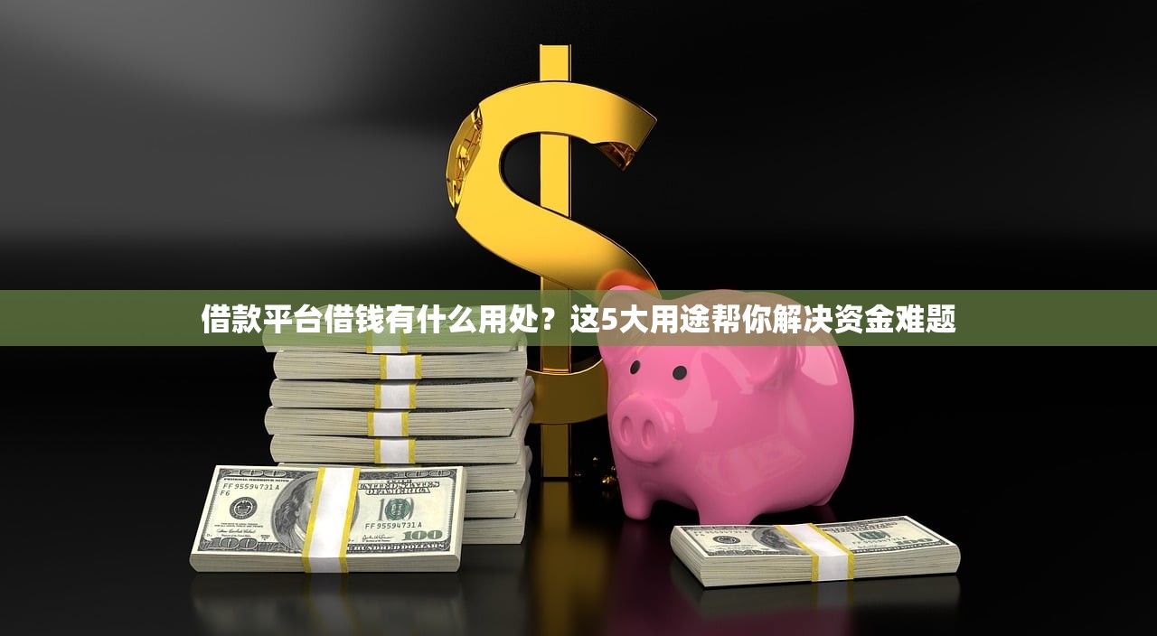 借款平台借钱有什么用处？这5大用途帮你解决资金难题