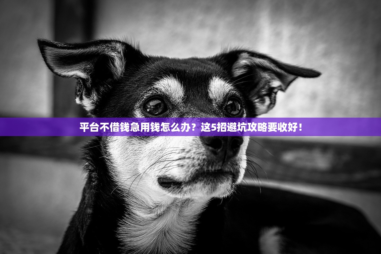 平台不借钱急用钱怎么办？这5招避坑攻略要收好！