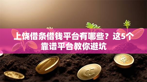 上饶借条借钱平台有哪些？这5个靠谱平台教你避坑