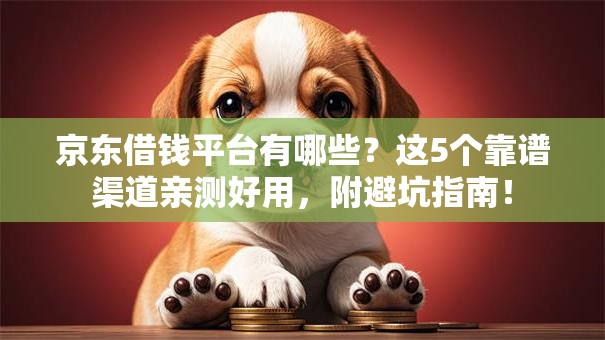 京东借钱平台有哪些？这5个靠谱渠道亲测好用，附避坑指南！