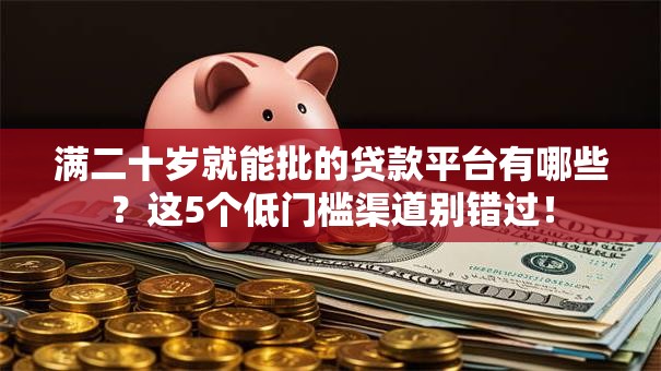 满二十岁就能批的贷款平台有哪些？这5个低门槛渠道别错过！