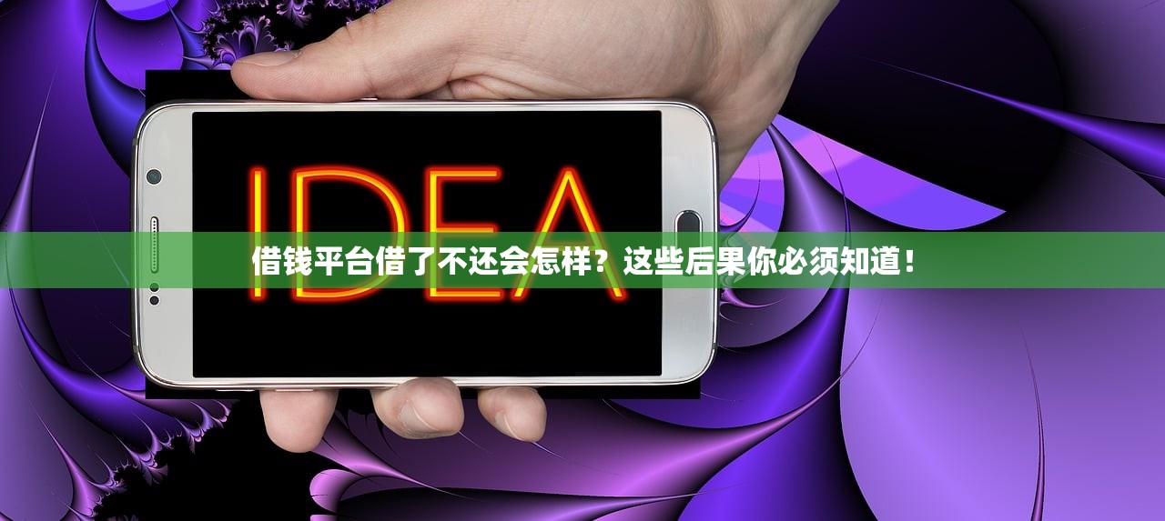 借钱平台借了不还会怎样？这些后果你必须知道！