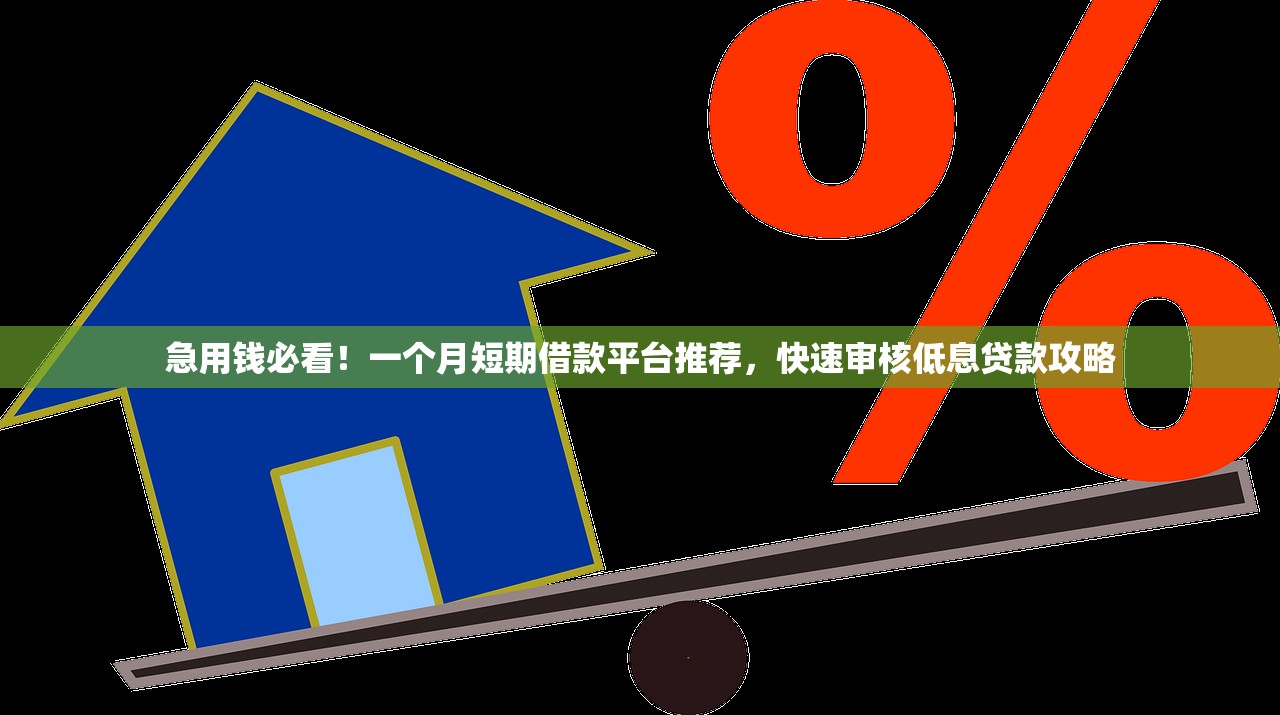 急用钱必看！一个月短期借款平台推荐，快速审核低息贷款攻略