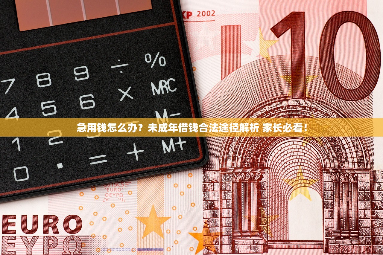 急用钱怎么办？未成年借钱合法途径解析 家长必看！