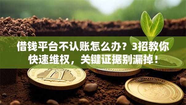 借钱平台不认账怎么办？3招教你快速维权，关键证据别漏掉！