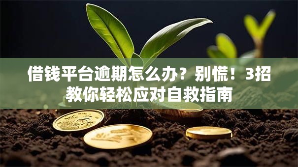 借钱平台逾期怎么办？别慌！3招教你轻松应对自救指南