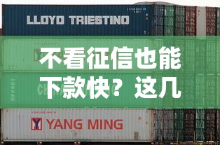 不看征信也能下款快?这几个网贷平台或许能帮到你! 不看征信也能下款快?这几个网贷平台或许能帮到你!