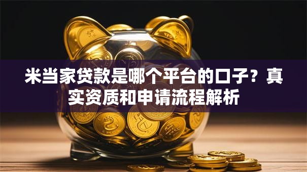 米当家贷款是哪个平台的口子?真实资质和申请流程解析 米当家贷款是哪个平台的口子?真实资质和申请流程解析