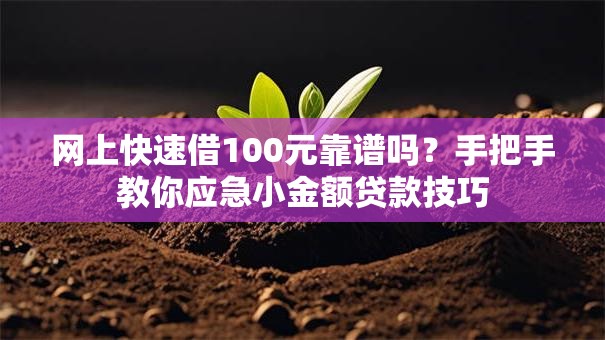 网上快速借100元靠谱吗？手把手教你应急小金额贷款技巧