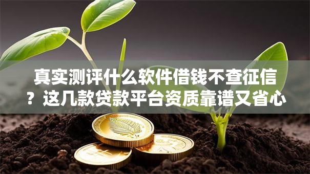 真实测评什么软件借钱不查征信？这几款贷款平台资质靠谱又省心！