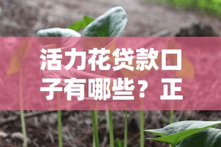 活力花贷款口子有哪些？正规平台选择避坑指南