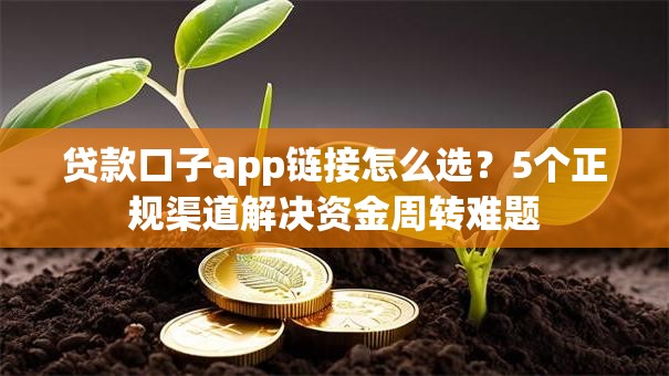 贷款口子app链接怎么选？5个正规渠道解决资金周转难题