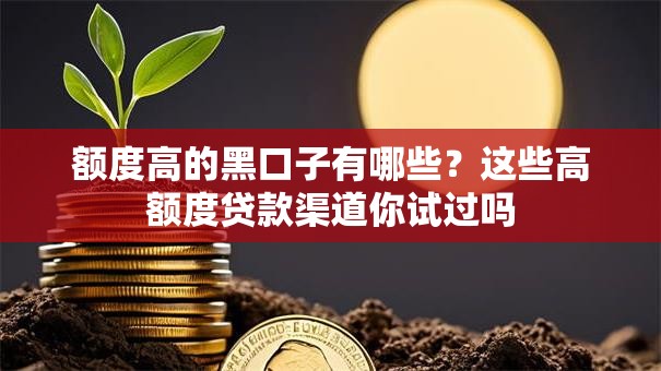 额度高的黑口子有哪些？这些高额度贷款渠道你试过吗