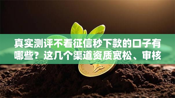 真实测评不看征信秒下款的口子有哪些？这几个渠道资质宽松、审核快