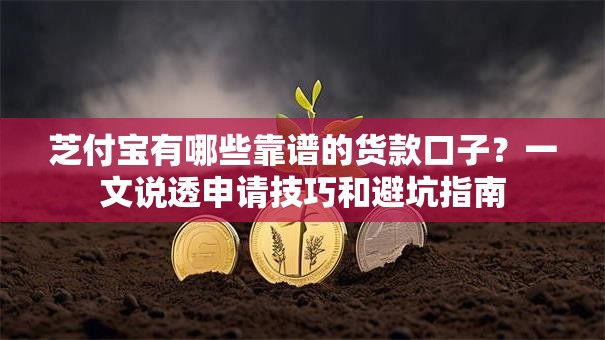 芝付宝有哪些靠谱的货款口子？一文说透申请技巧和避坑指南