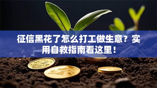 征信黑花了怎么打工做生意？实用自救指南看这里！