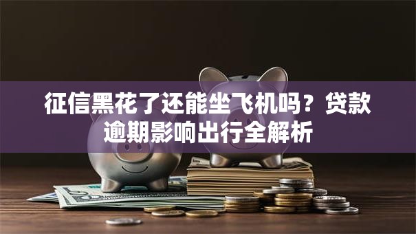 征信黑花了还能坐飞机吗？贷款逾期影响出行全解析