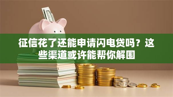 征信花了还能申请闪电贷吗？这些渠道或许能帮你解围