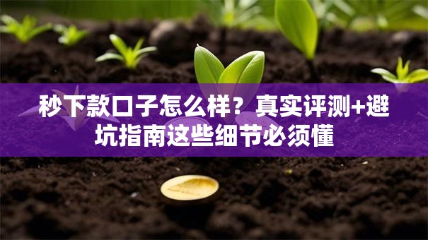 秒下款口子怎么样？真实评测+避坑指南这些细节必须懂