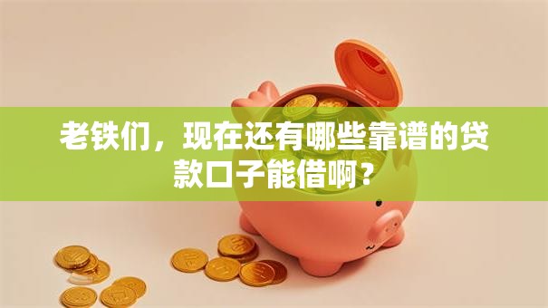 老铁们，现在还有哪些靠谱的贷款口子能借啊？