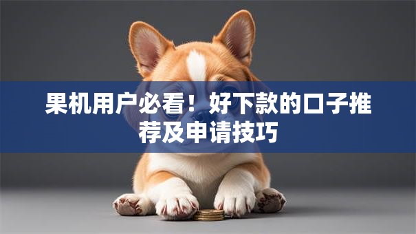 果机用户必看！好下款的口子推荐及申请技巧