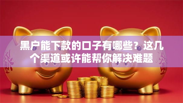 黑户能下款的口子有哪些？这几个渠道或许能帮你解决难题