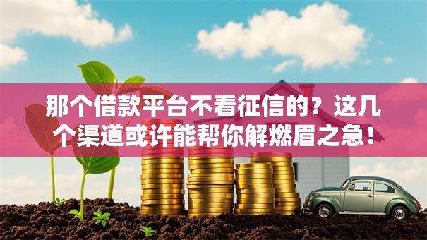 那个借款平台不看征信的？这几个渠道或许能帮你解燃眉之急！