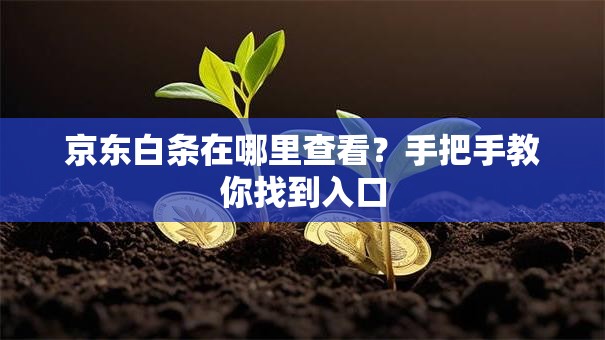 京东白条在哪里查看?手把手教你找到入口 京东白条在哪里查看?手把手教你找到入口