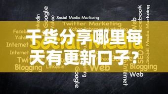 干货分享哪里每天有更新口子？最新平台筛选攻略大揭秘！
