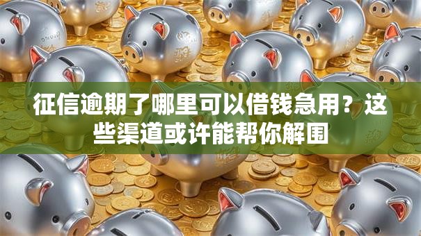 征信逾期了哪里可以借钱急用？这些渠道或许能帮你解围