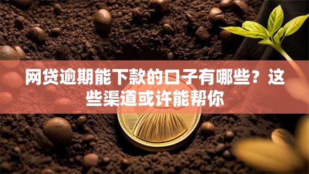 网贷逾期能下款的口子有哪些？这些渠道或许能帮你